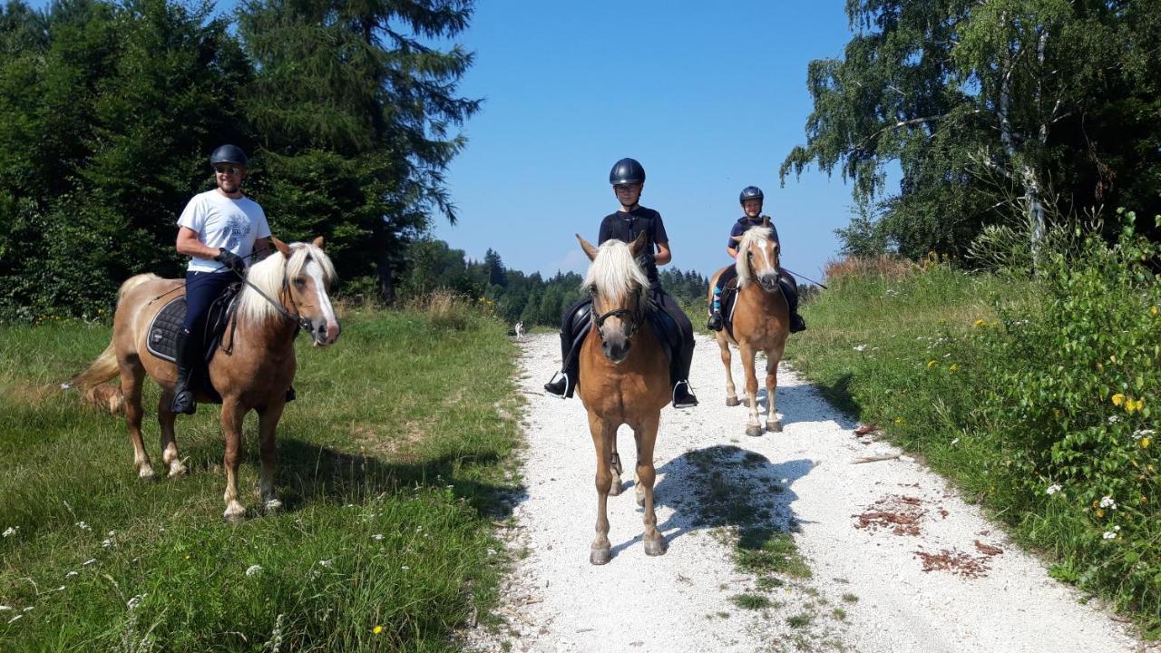 Willa Marianna Lądek-Zdrój Buitenkant foto